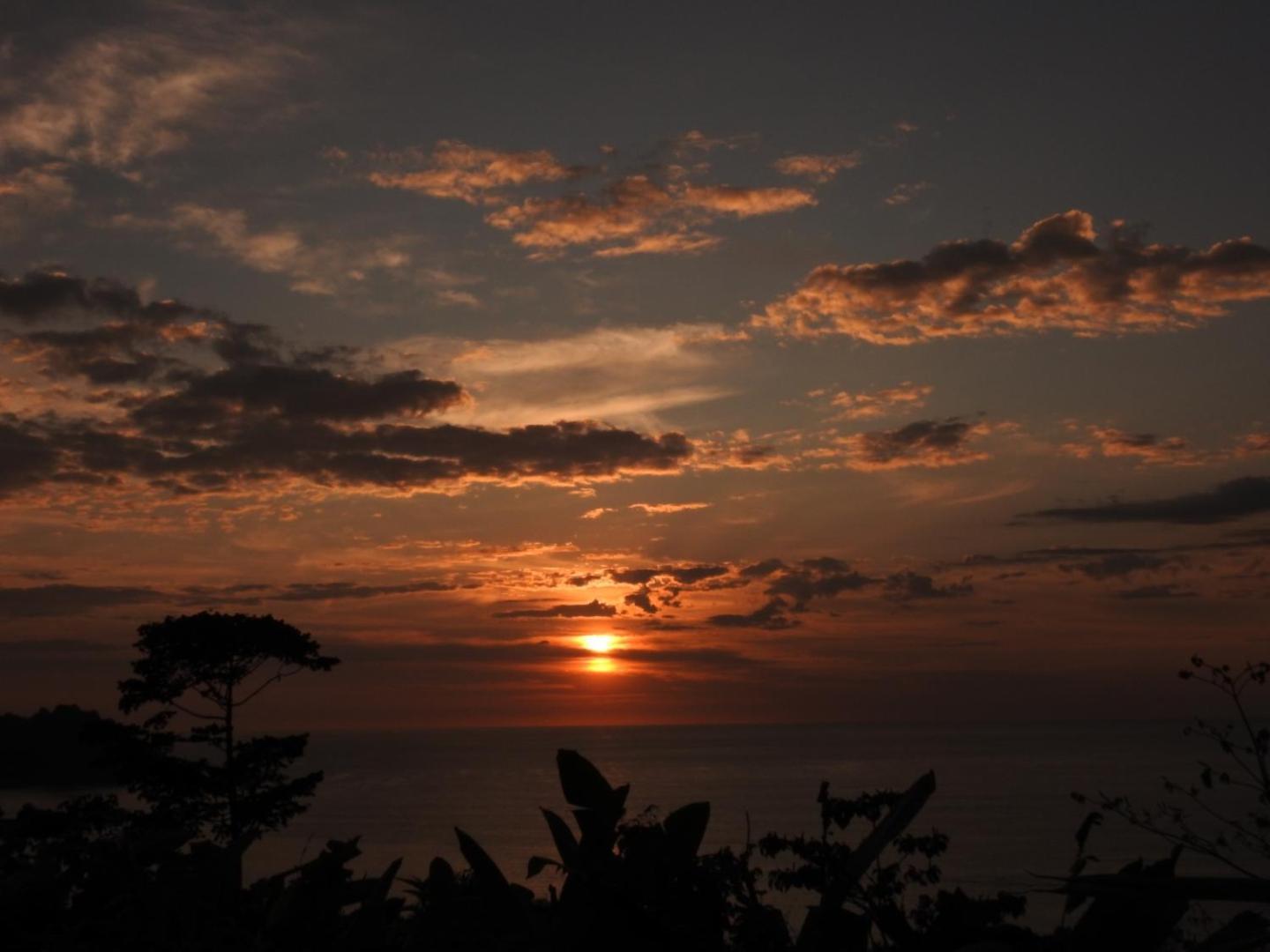 Osa House - Drake Corcovado Tours Bed and Breakfast Drakes Bay Buitenkant foto