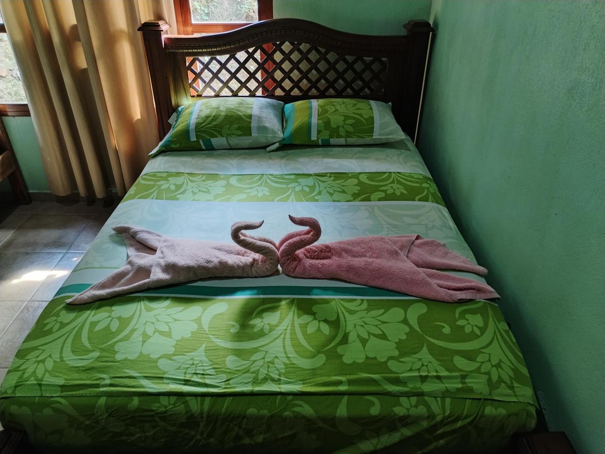Osa House - Drake Corcovado Tours Bed and Breakfast Drakes Bay Buitenkant foto