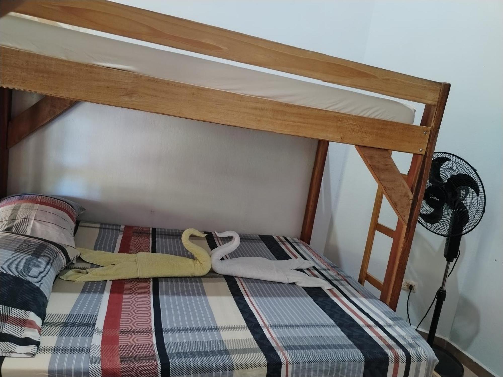 Osa House - Drake Corcovado Tours Bed and Breakfast Drakes Bay Buitenkant foto