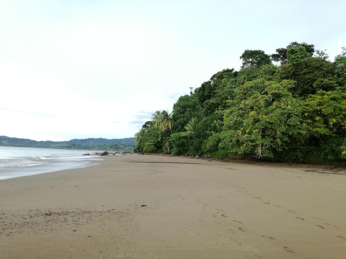 Osa House - Drake Corcovado Tours Bed and Breakfast Drakes Bay Buitenkant foto